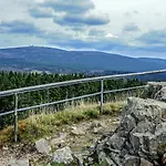 Hotel Zum Harzer 3*