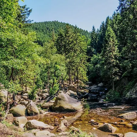 Zum Harzer 3* Clausthal-Zellerfeld