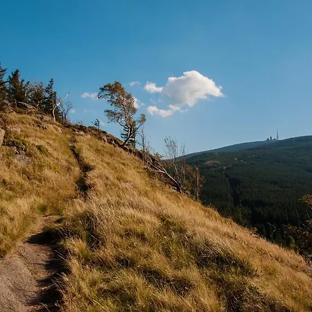 Zum Harzer 3* Clausthal-Zellerfeld