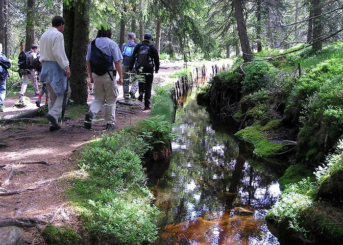 Szálloda Zum Harzer 3*