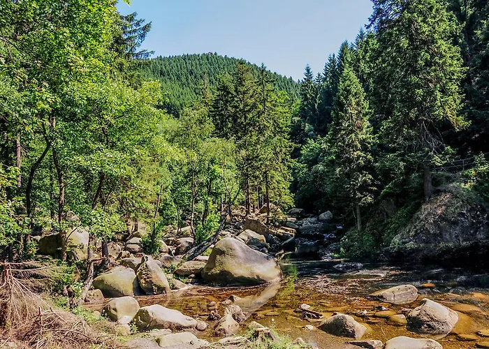 Zum Harzer 3* Clausthal-Zellerfeld