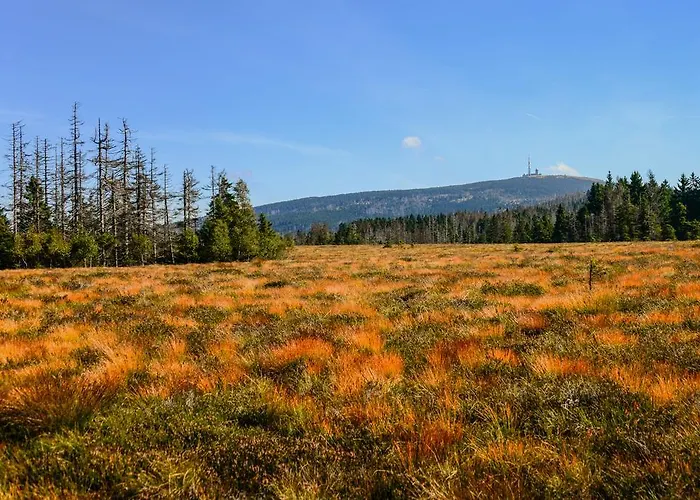 Szálloda Zum Harzer Clausthal-Zellerfeld